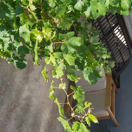 Castello 3* Мали-Лошинь